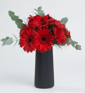 Siyah Çizgili Polimer Vazoda Kırmızı Gerbera Çiçekleri